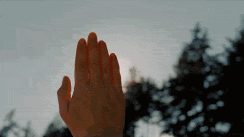 2.gif